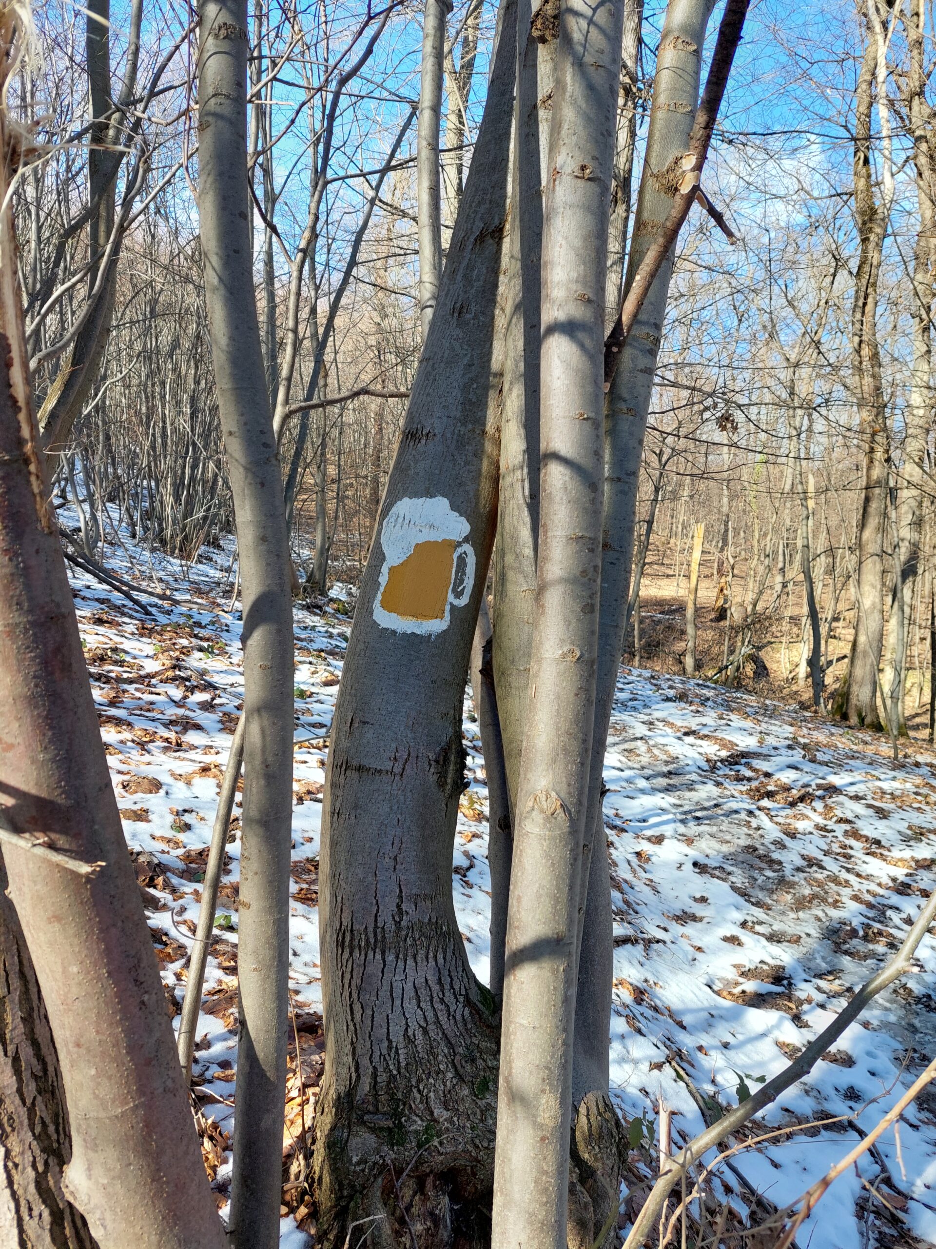 Fruška gora Paragovo, Astal, Rubenov… (14.1.2024)