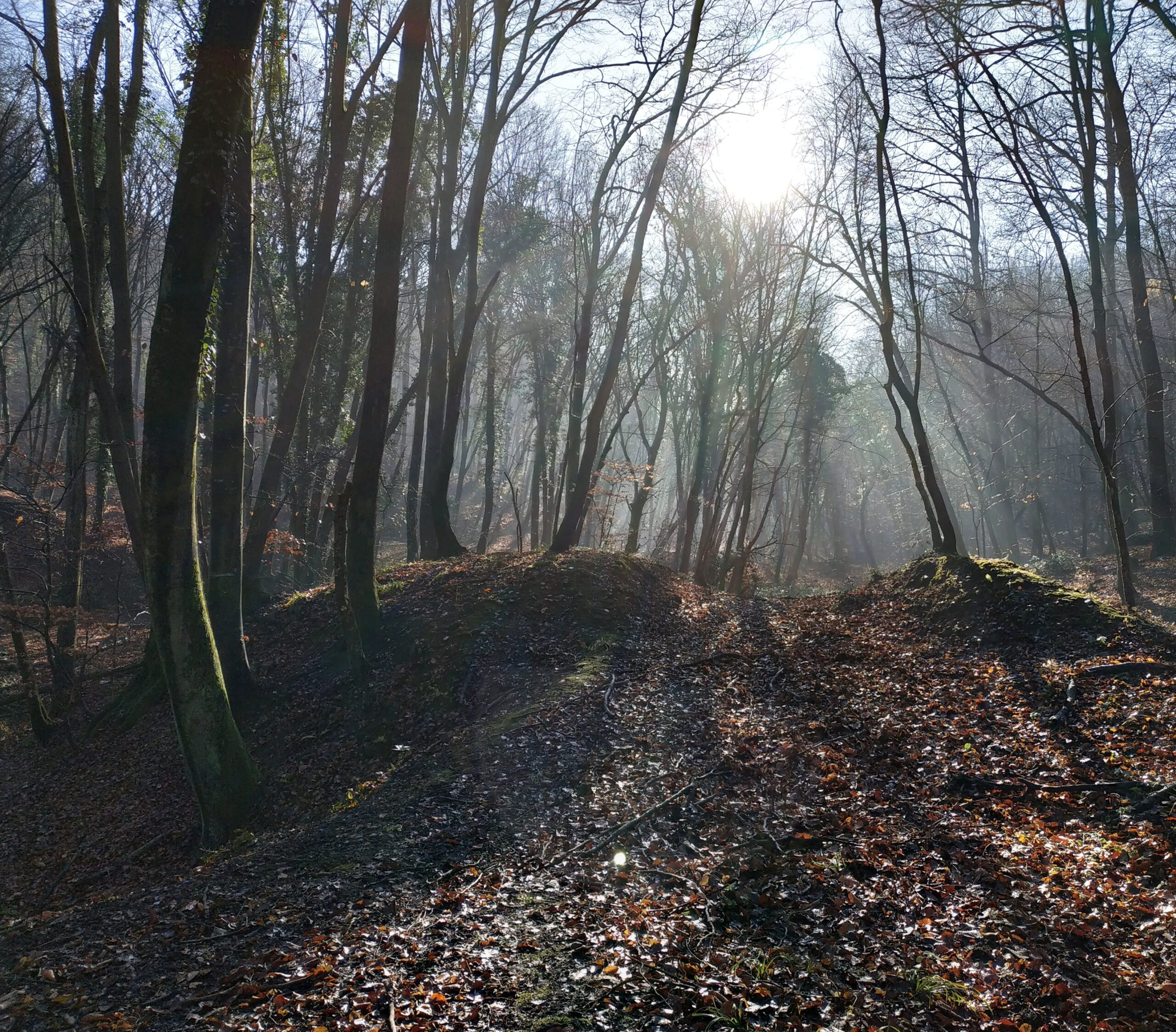 1. Fruška gora Beočin selo (19.10.2025)